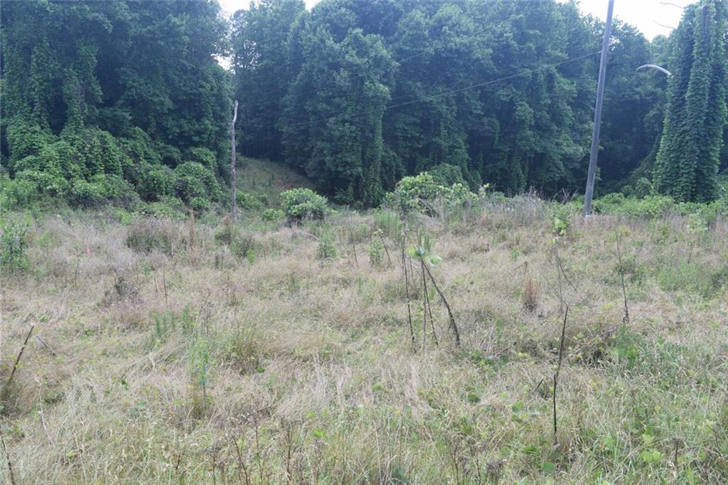 792 Lower Dowda Mill Road Jasper, GA 30143 - Photo 2 of 35