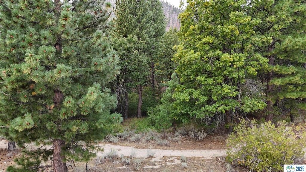 720-055 Gray Road Milford, CA 96121 - Photo 8 of 13