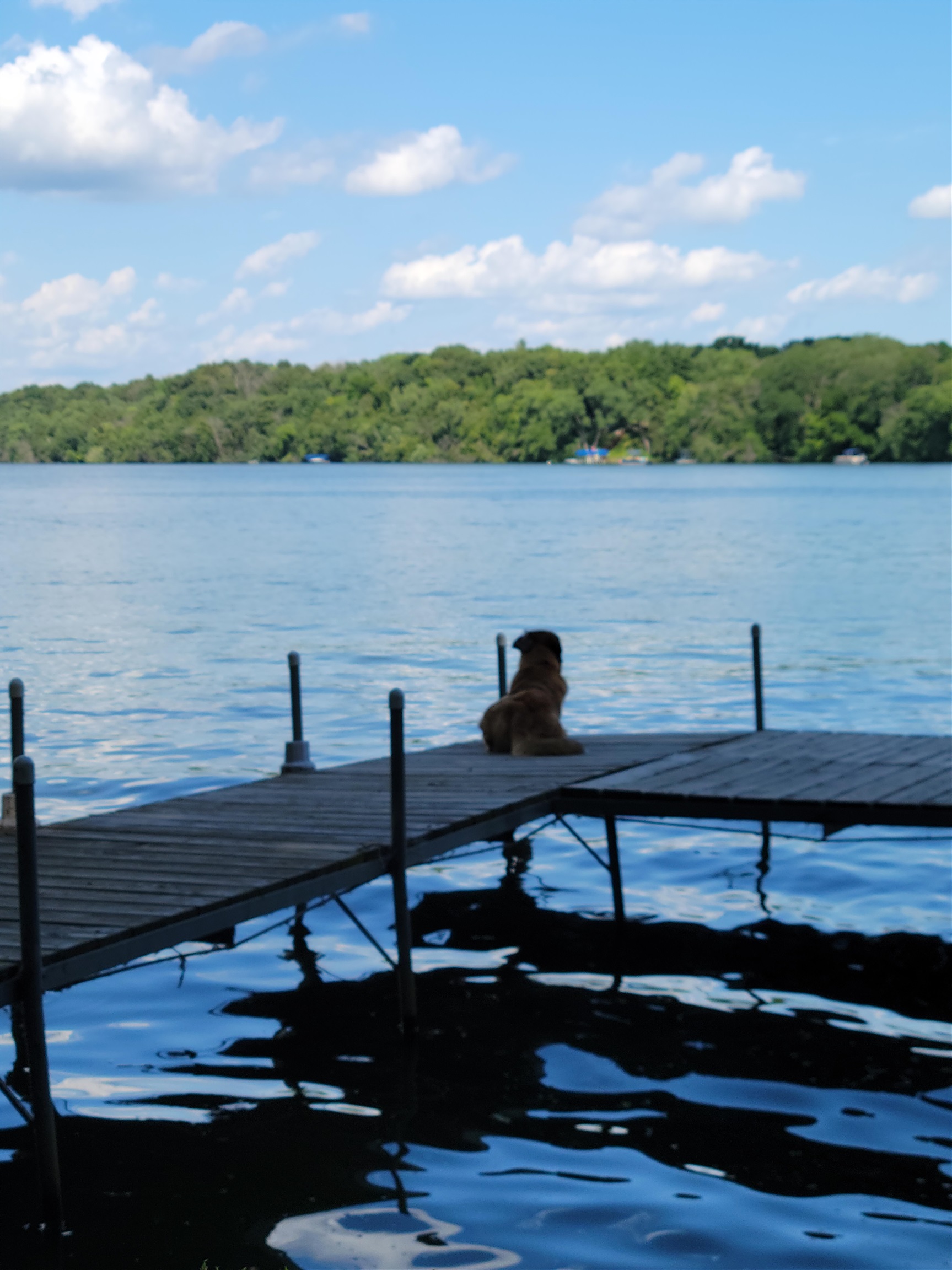 S9044 Timbercrest Trail Prairie du Sac, WI 53578 - Photo 74 of 80