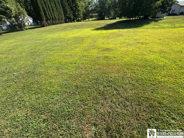 West Benton & Ruggles Street Dunkirk, NY 14048 - Photo 8 of 14