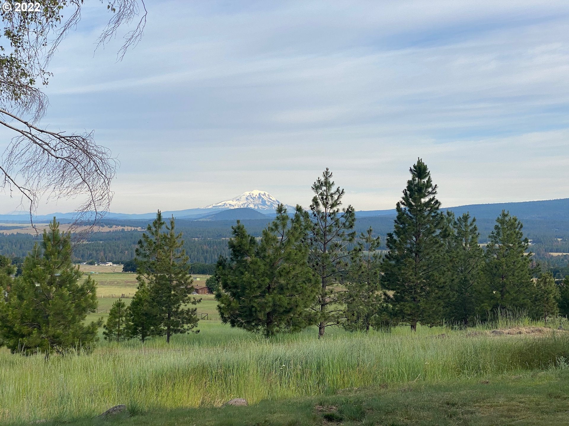 79 Adams Loop Road Goldendale, WA 98620 - Photo 3 of 32 Gallery Image 3