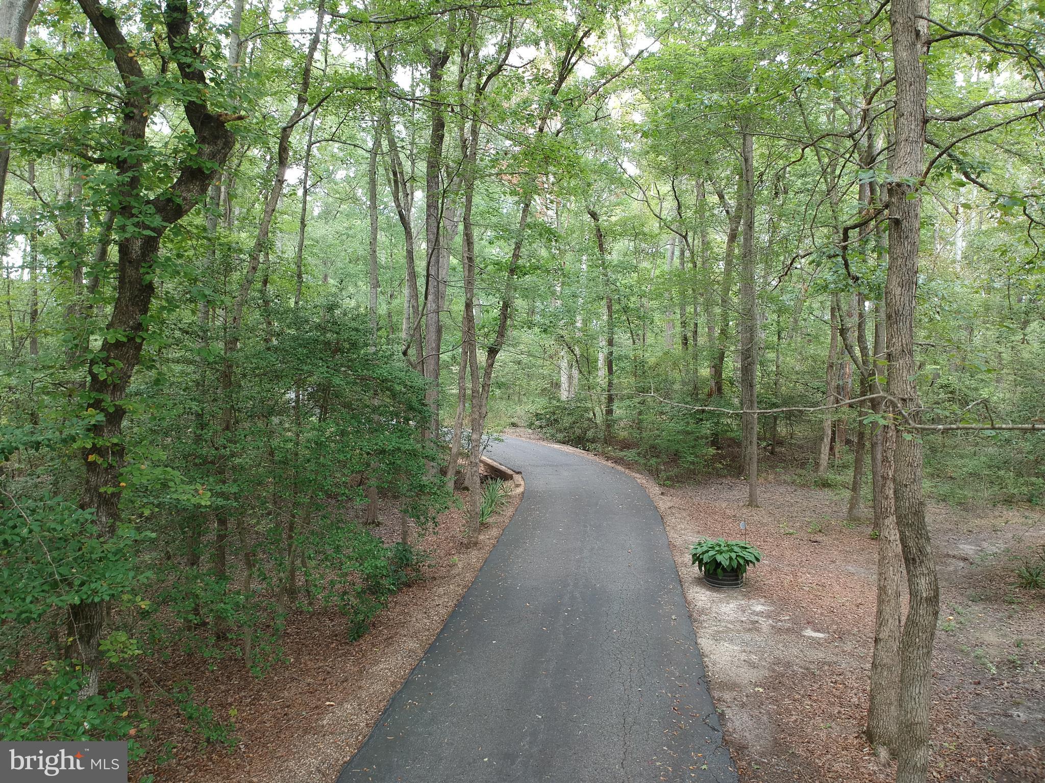 5870 Hallowing Point Road Prince Frederick, MD 20678 - Photo 23 of 72 Driveway to the house