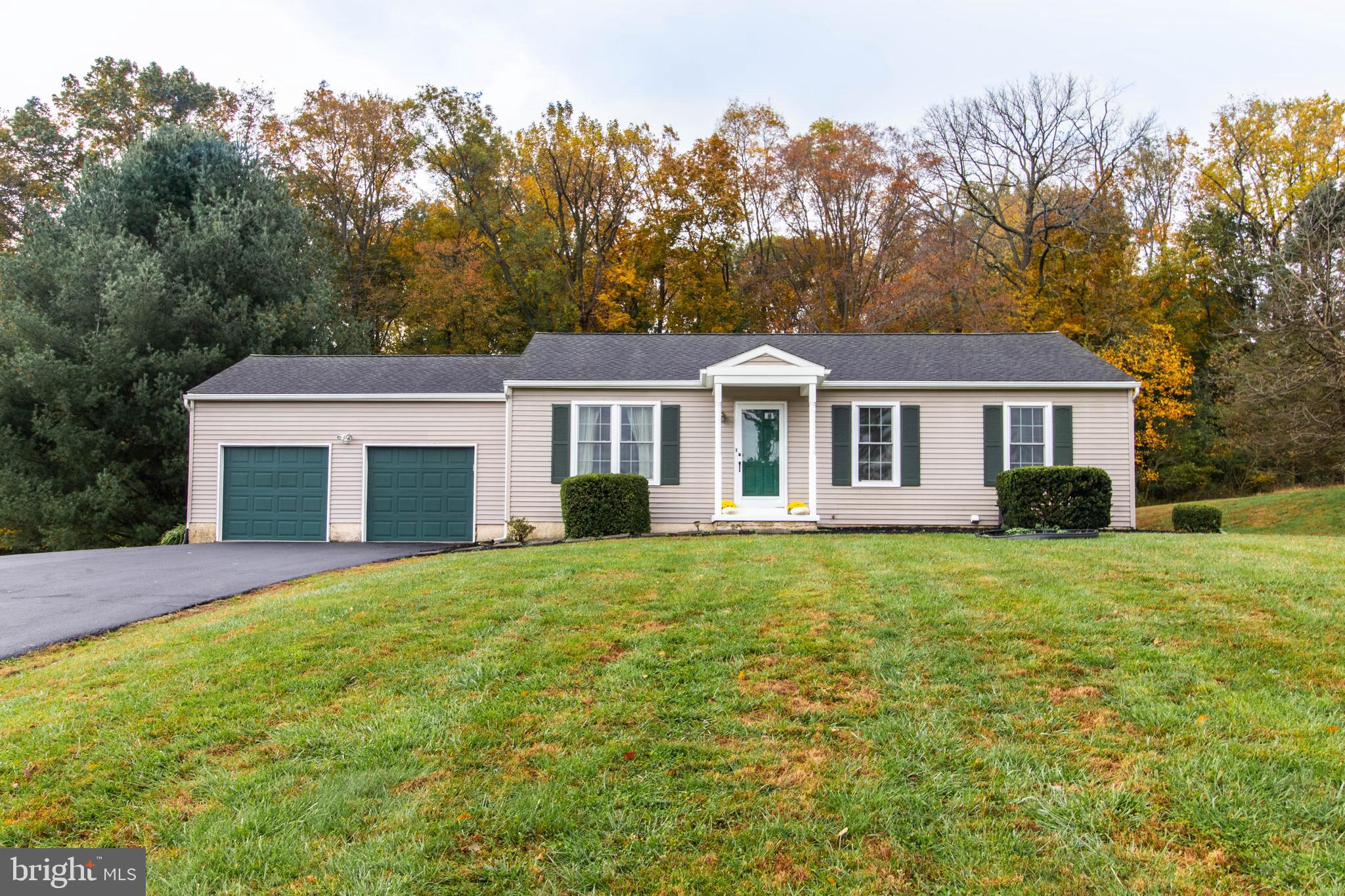a front view of house with yard and trees
