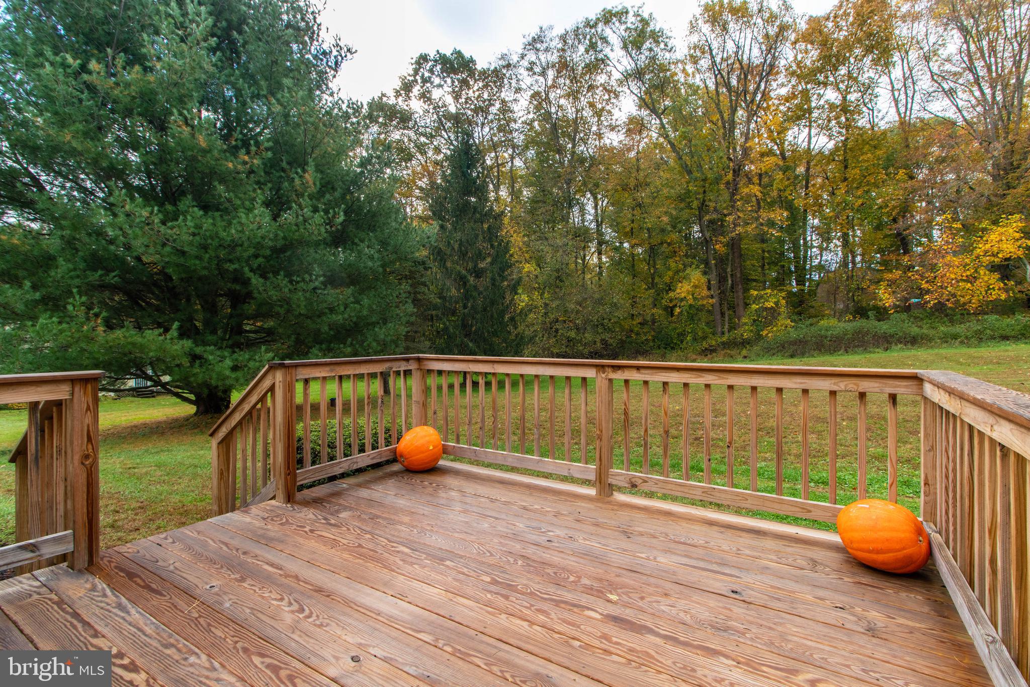 608 Rosedale Road Kennett Square, PA 19348 - Photo 24 of 30 a view of deck and deck with trees in the background