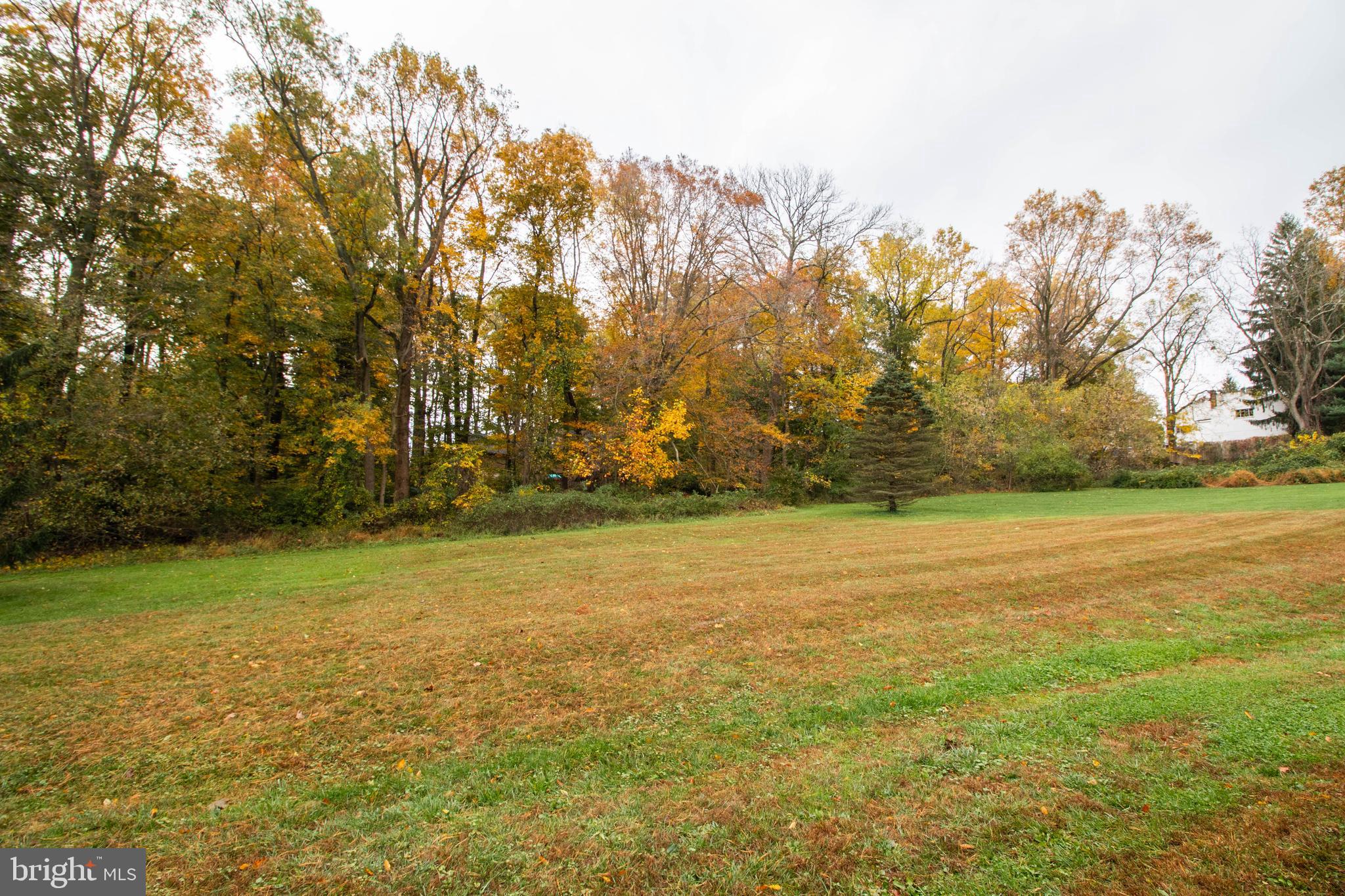 608 Rosedale Road Kennett Square, PA 19348 - Photo 30 of 30 a view of yard with trees