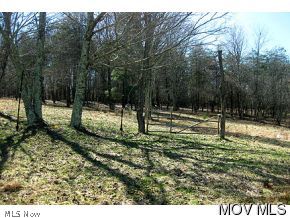 32 B Zenith Road Union, WV 24983 - Photo 5 of 22