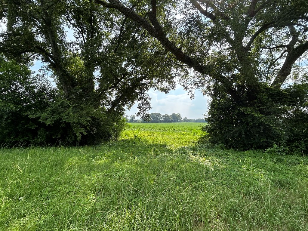 132.3-ac Green Road Dothan, AL 36303 - Photo 43 of 63