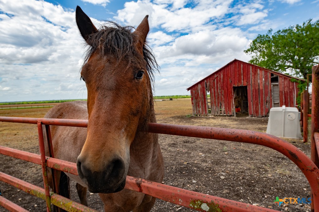 1414 Branch Road Seguin, TX 78155 - Photo 18 of 28