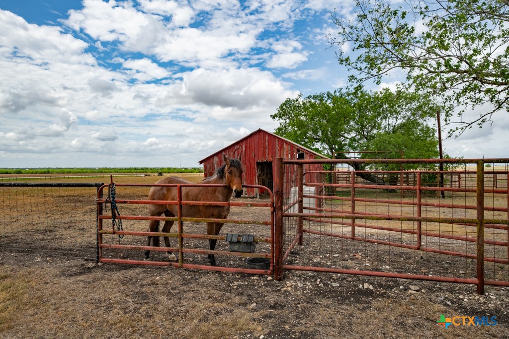 1414 Branch Road Seguin, TX 78155 - Photo 20 of 28