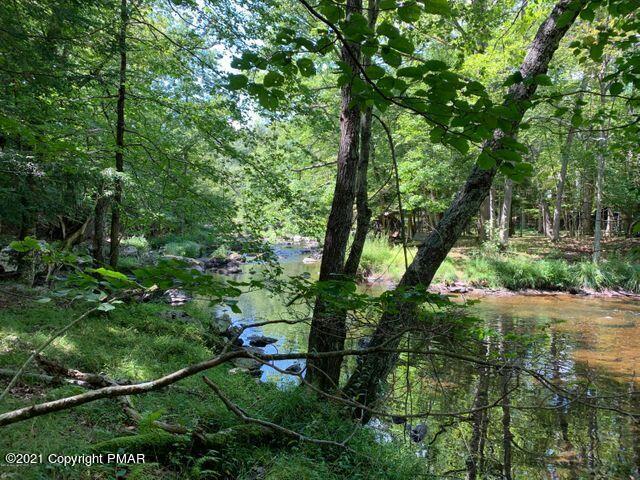 314 Canterbury Road Bushkill, PA 18324 - Photo 54 of 68 Stream 2