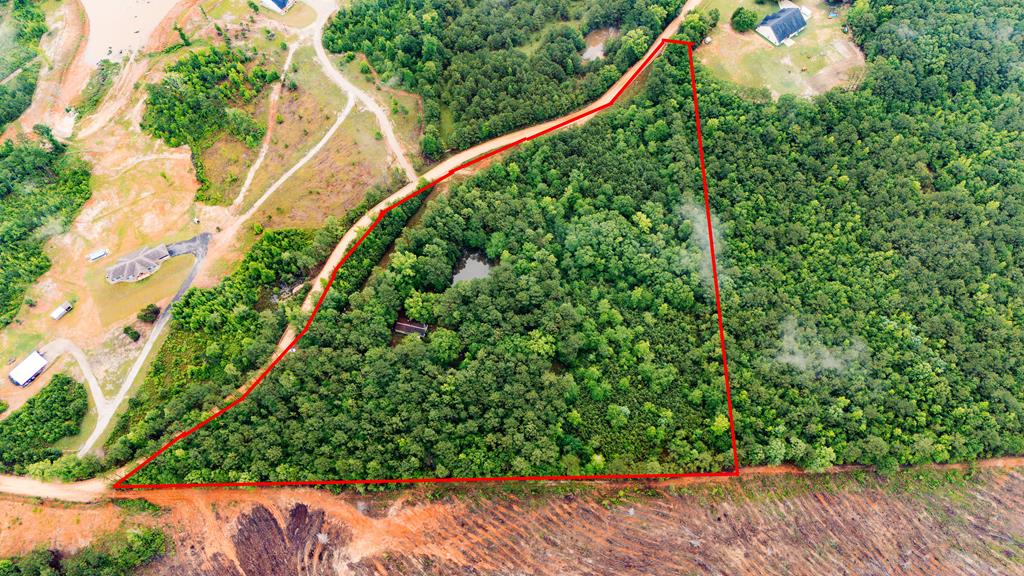 53 Robinson Road Seale, AL 36875 - Photo 4 of 15