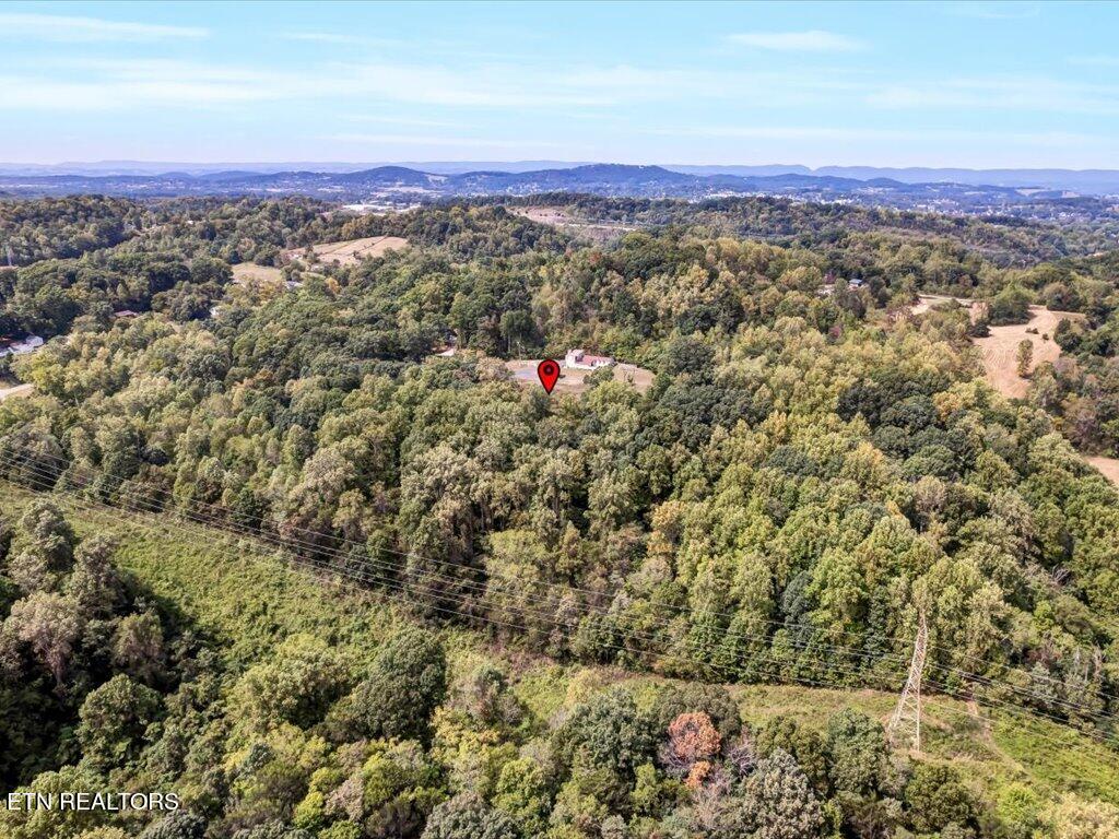 355 Seville Road Morristown, TN 37813 - Photo 12 of 18 355 Seville Rd - 12