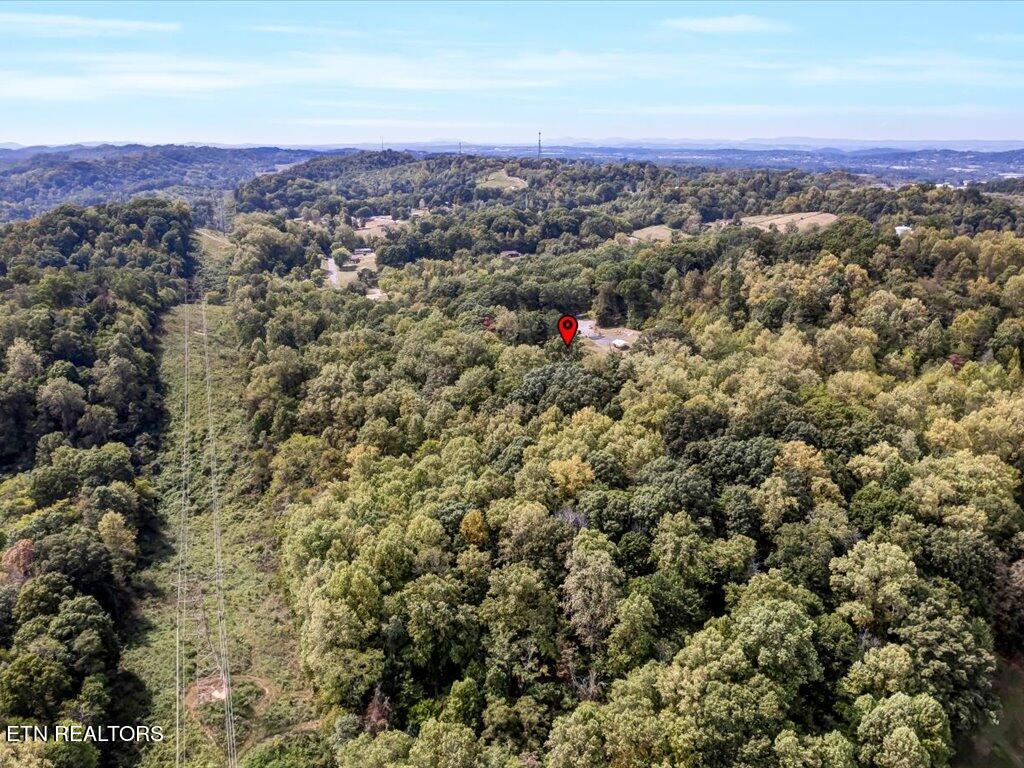 355 Seville Road Morristown, TN 37813 - Photo 13 of 18 355 Seville Rd - 13