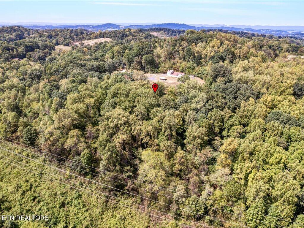 355 Seville Road Morristown, TN 37813 - Photo 14 of 18 355 Seville Rd - 14