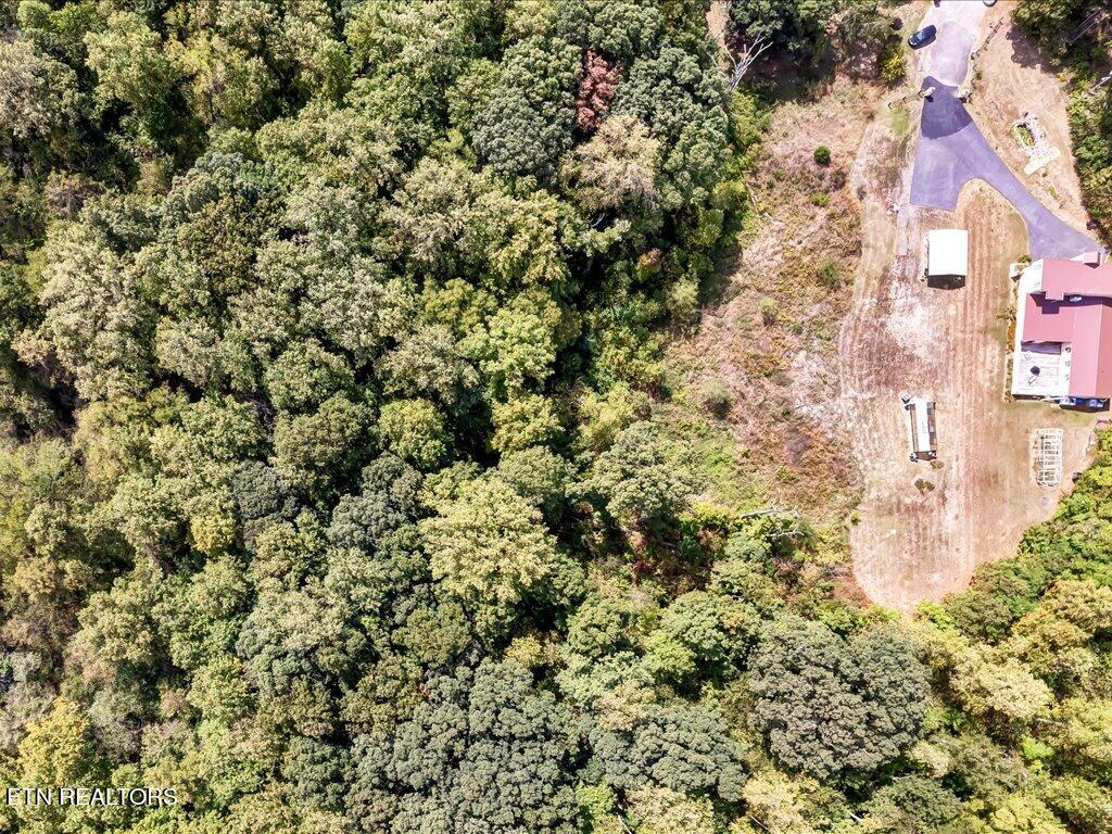355 Seville Road Morristown, TN 37813 - Photo 15 of 18 355 Seville Rd - 15