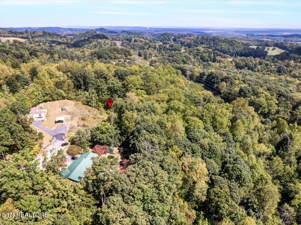 355 Seville Road Morristown, TN 37813 - Photo 4 of 18 355 Seville Rd - 4