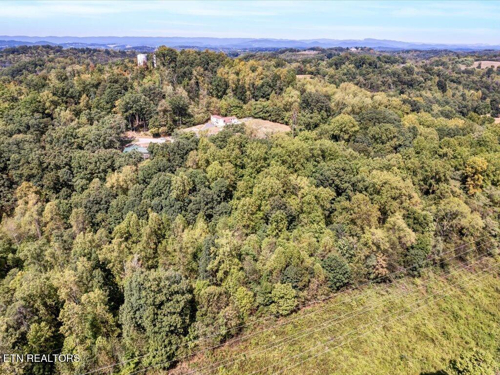 355 Seville Road Morristown, TN 37813 - Photo 7 of 18 355 Seville Rd - 7