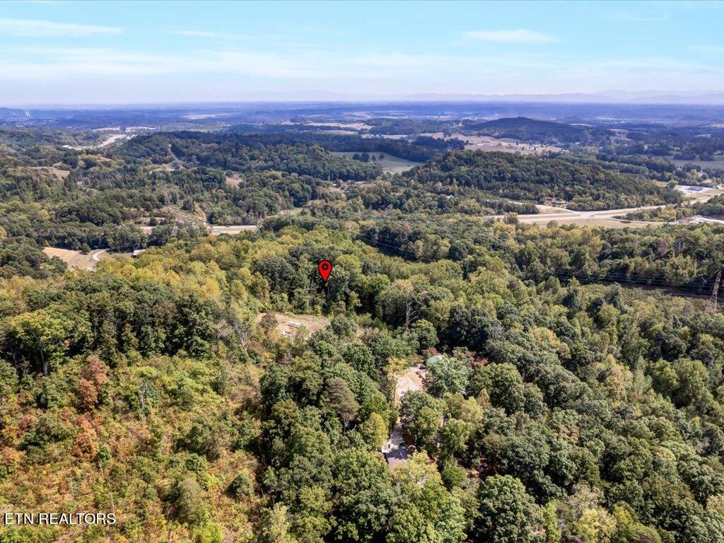 355 Seville Road Morristown, TN 37813 - Photo 9 of 18 355 Seville Rd - 9