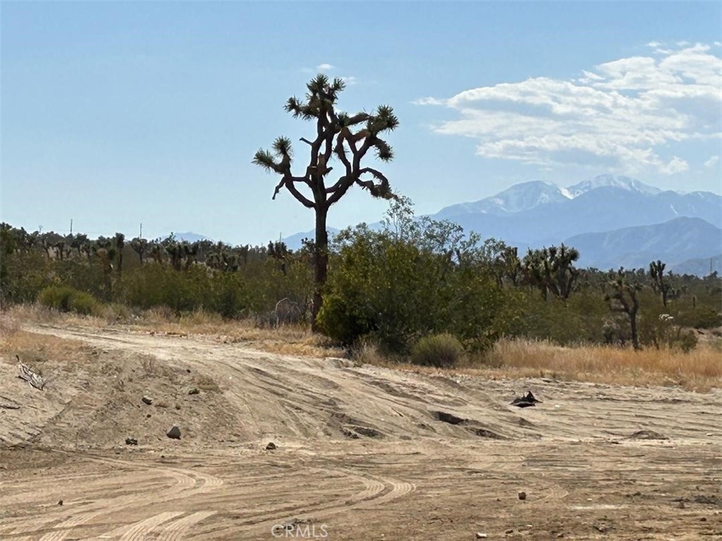 7374 Olympic Road Joshua Tree, CA 92252 - Photo 27 of 30 Gallery Image 27