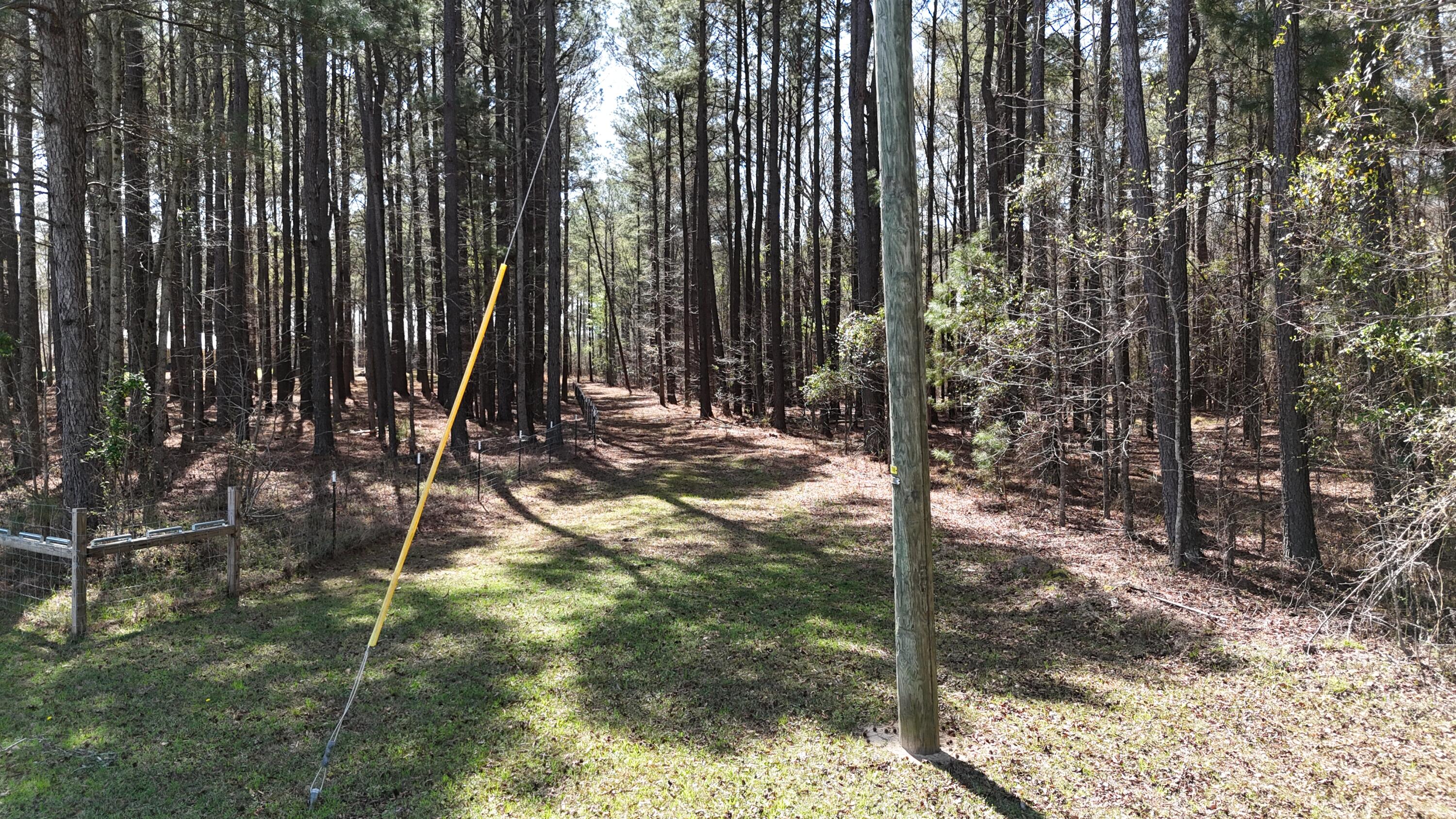 1995 Sam Nexsen Road Summerton, SC 29148 - Photo 62 of 110