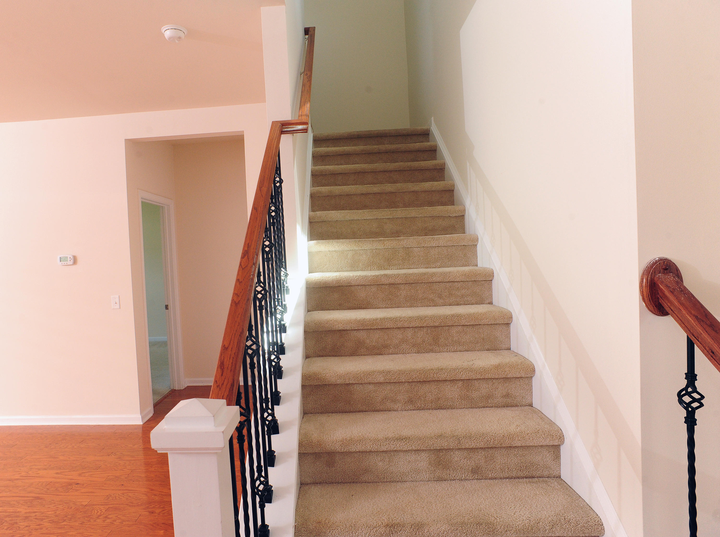 3196 Cold Harbor Way Charleston, SC 29414 - Photo 12 of 38 MOP_5661
