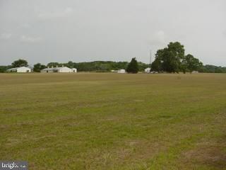 Lot 5 Turkey Tracks Berlin, MD 21811 - Photo 2 of 3