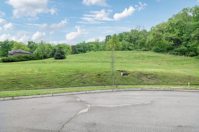 a view of a field with a big yard