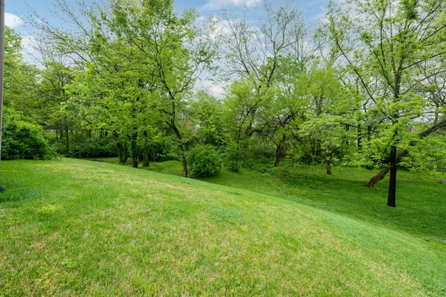 a view of a garden with trees