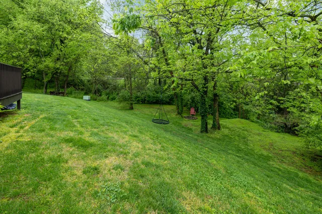 a view of a green field with lots of bushes