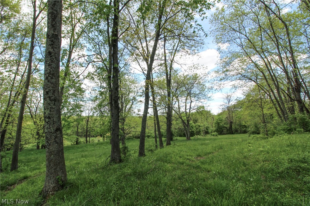 Wilsonwood Road Blue Rock, OH 43720 - Photo 20 of 34 Gallery Image 20