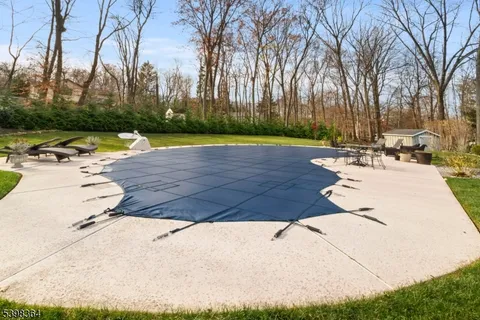 a view of outdoor space with garden and trees