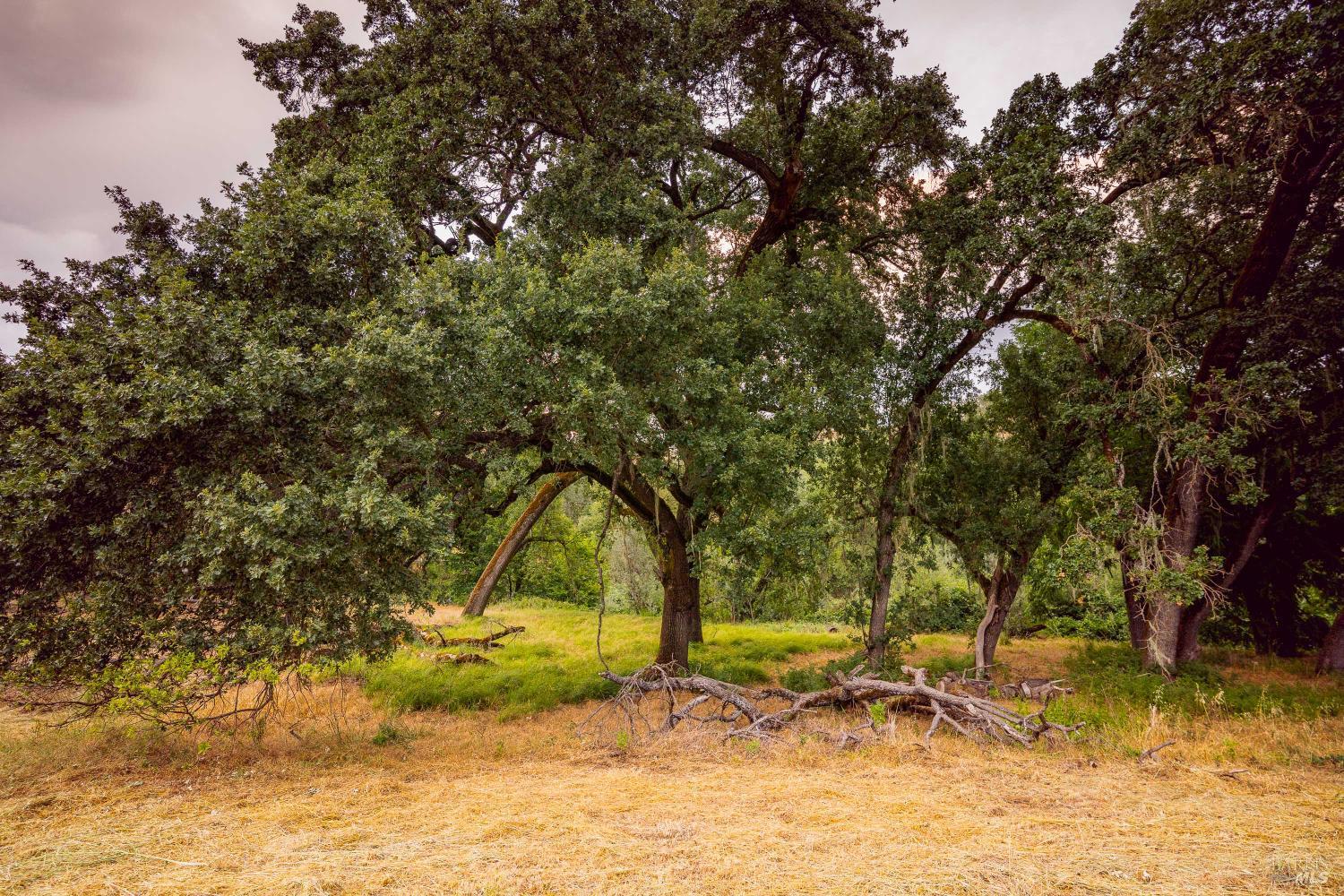 0 Capell Valley Cross Road Napa, CA 94558 - Photo 23 of 34