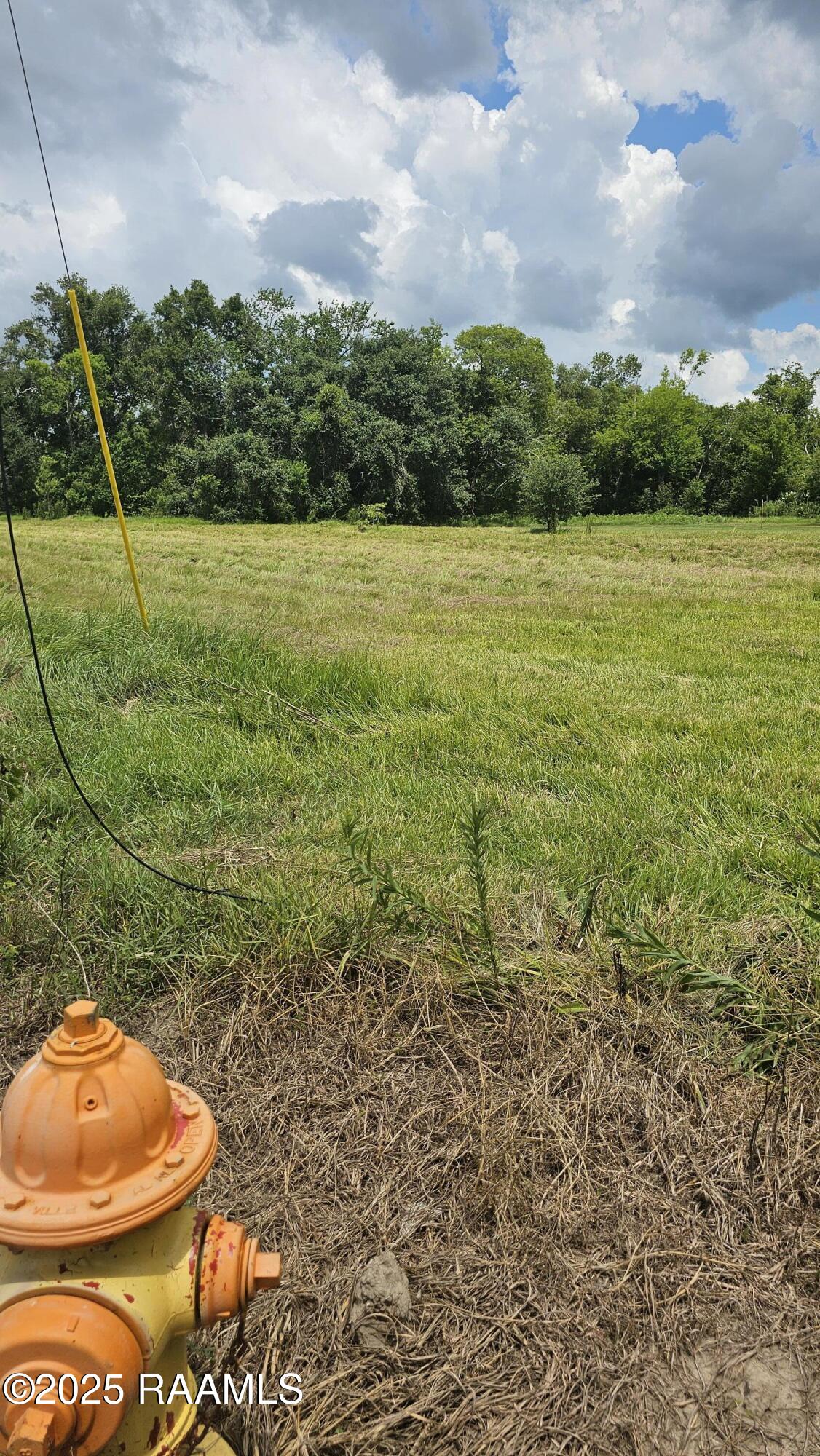 1628 Dr Beatrous Road Theriot, LA 70397 - Photo 3 of 3 1628 Beatrous left view