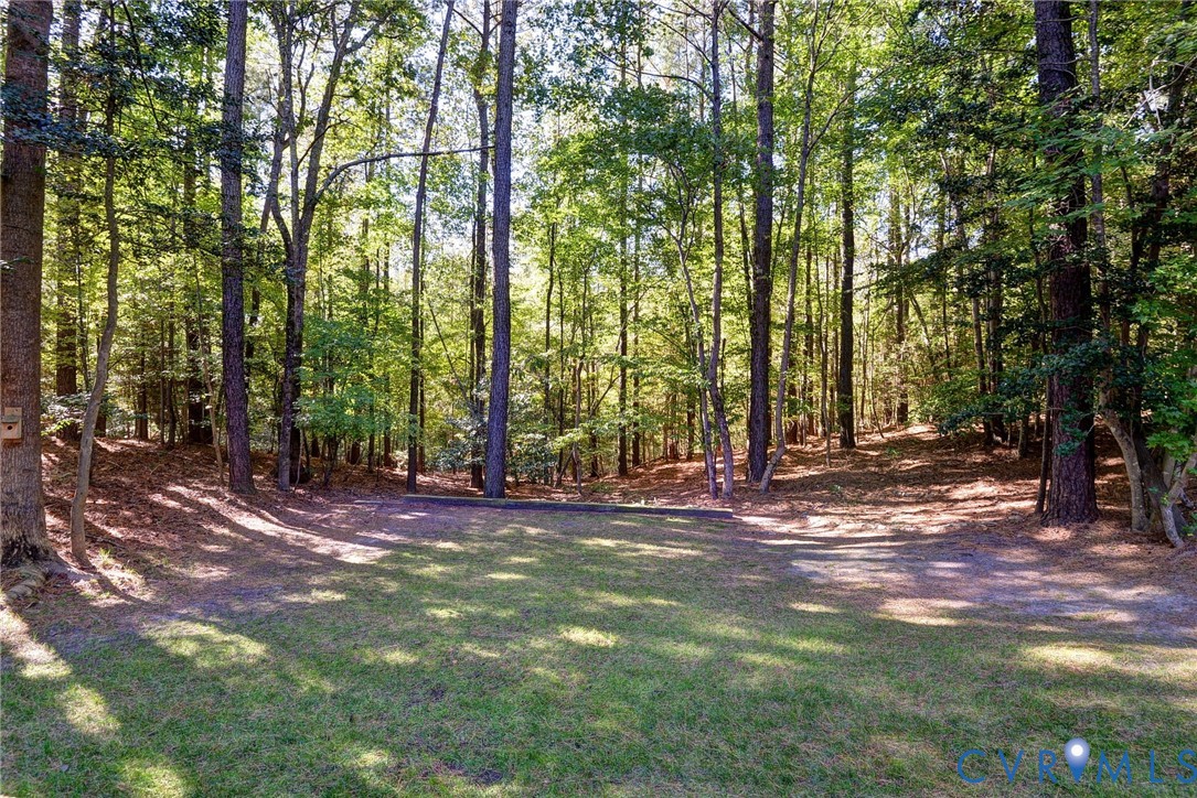 9405 Ashlock Court Toano, VA 23168 - Photo 37 of 43 a view of outdoor space with trees