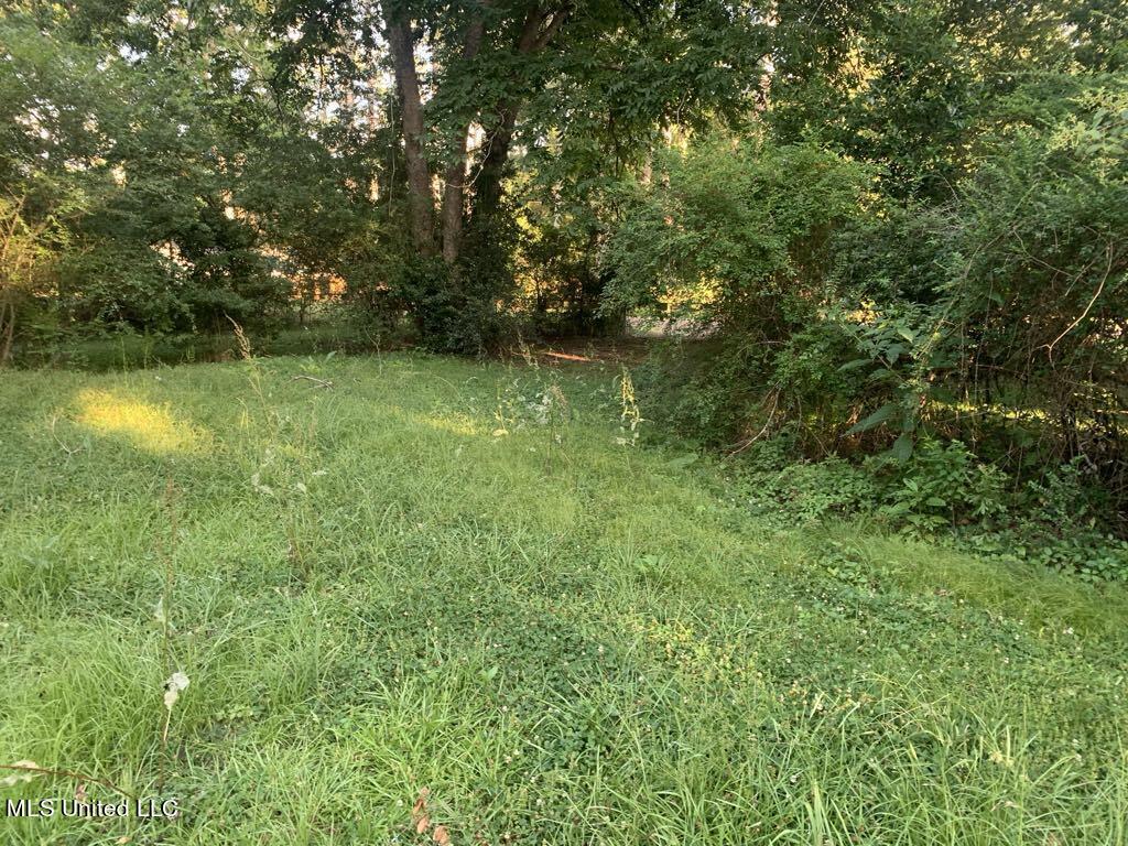 600 Goodwater Road Northwest Magee, MS 39111 - Photo 11 of 14 3