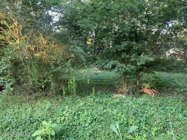 $19,500 | 600 Goodwater Road Northwest, Magee, MS 39111