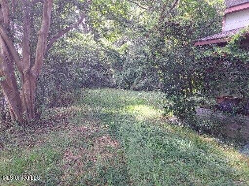 600 Goodwater Road Northwest Magee, MS 39111 - Photo 5 of 14 449456635_481377874577492_23344730184722