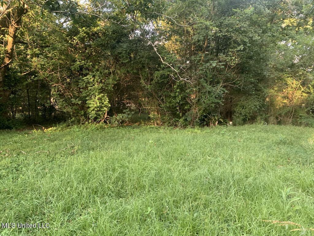 600 Goodwater Road Northwest Magee, MS 39111 - Photo 10 of 14 2