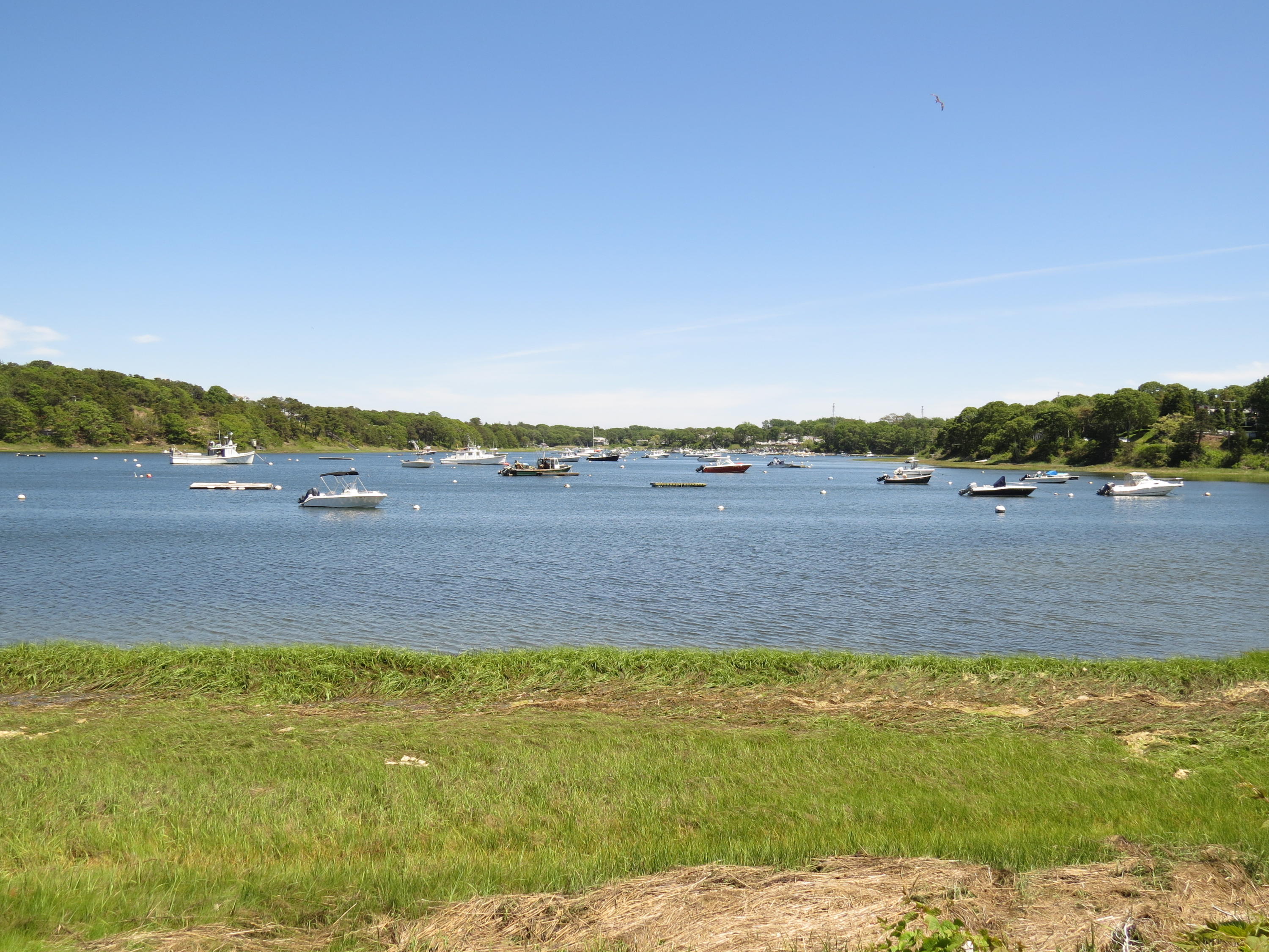 1070 Orleans Road North Chatham, MA 02650 - Photo 18 of 21 IMG_0008