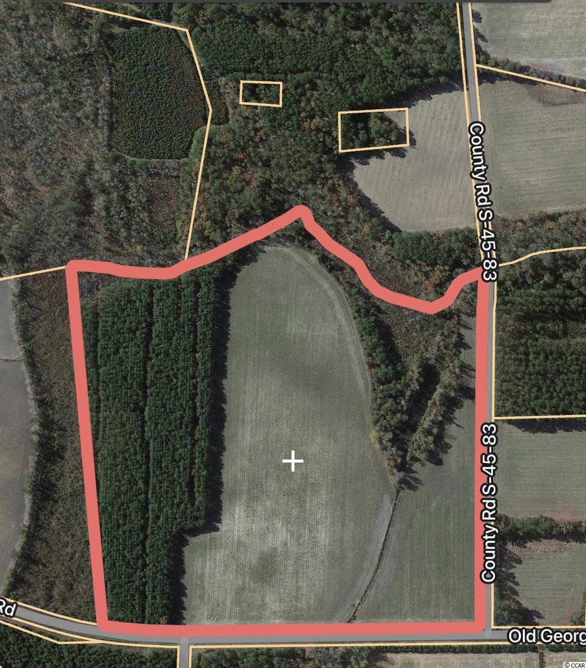 59-ac Old Georgetown Road Nesmith, SC 29580 - Photo 16 of 16