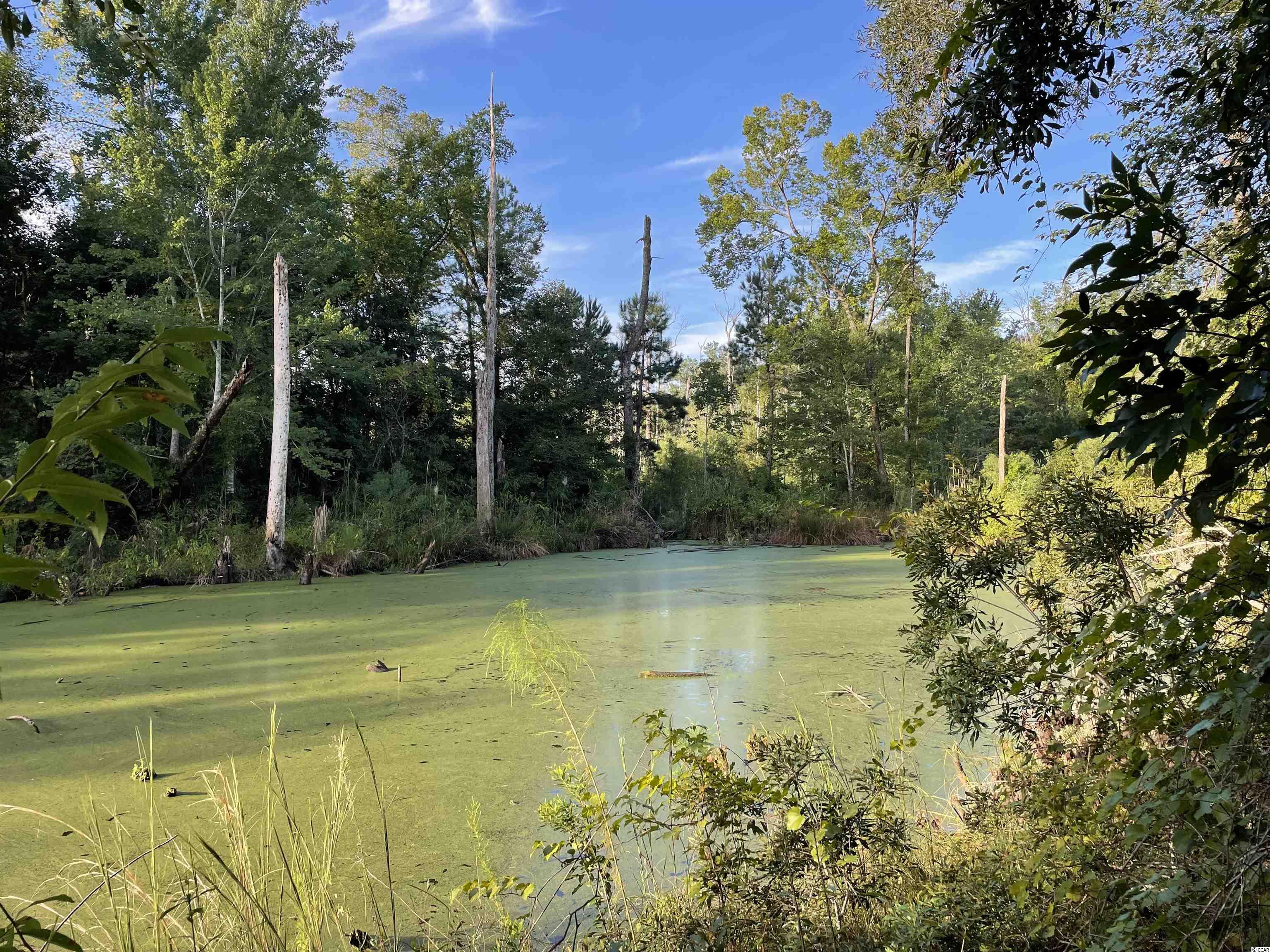 59-ac Old Georgetown Road Nesmith, SC 29580 - Photo 2 of 16