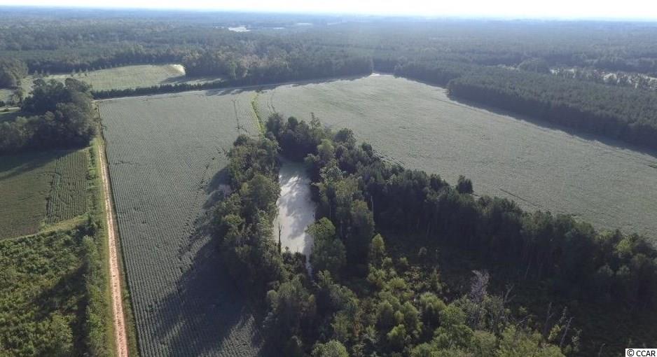 59-ac Old Georgetown Road Nesmith, SC 29580 - Photo 4 of 16