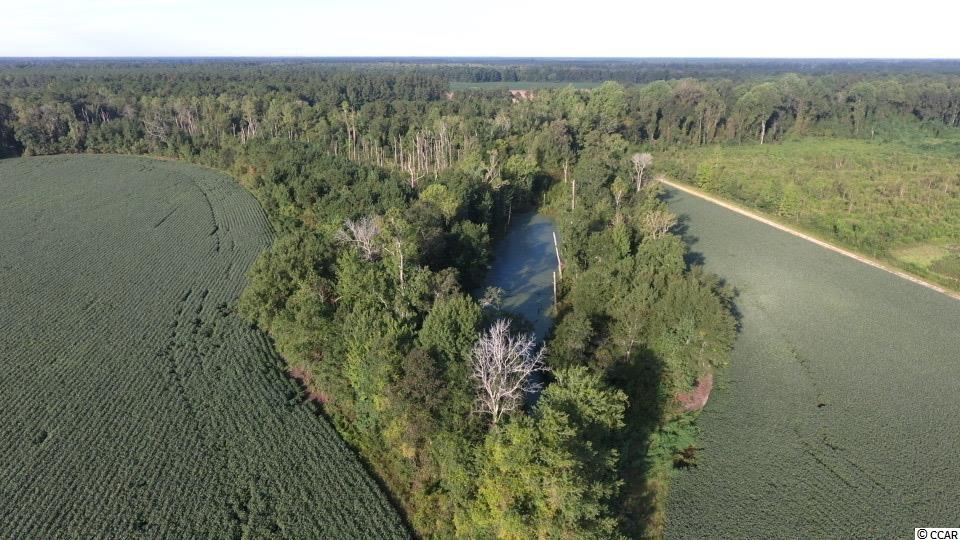 59-ac Old Georgetown Road Nesmith, SC 29580 - Photo 5 of 16