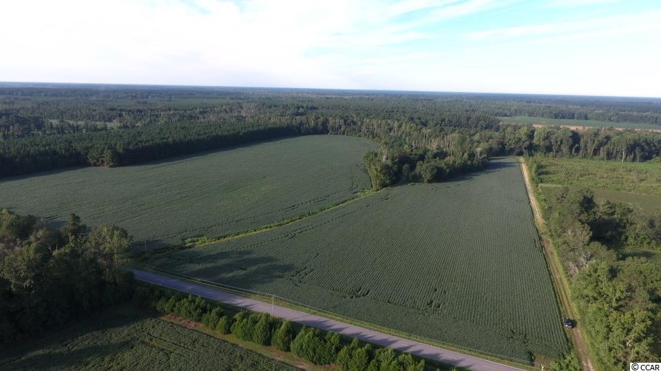 59-ac Old Georgetown Road Nesmith, SC 29580 - Photo 6 of 16
