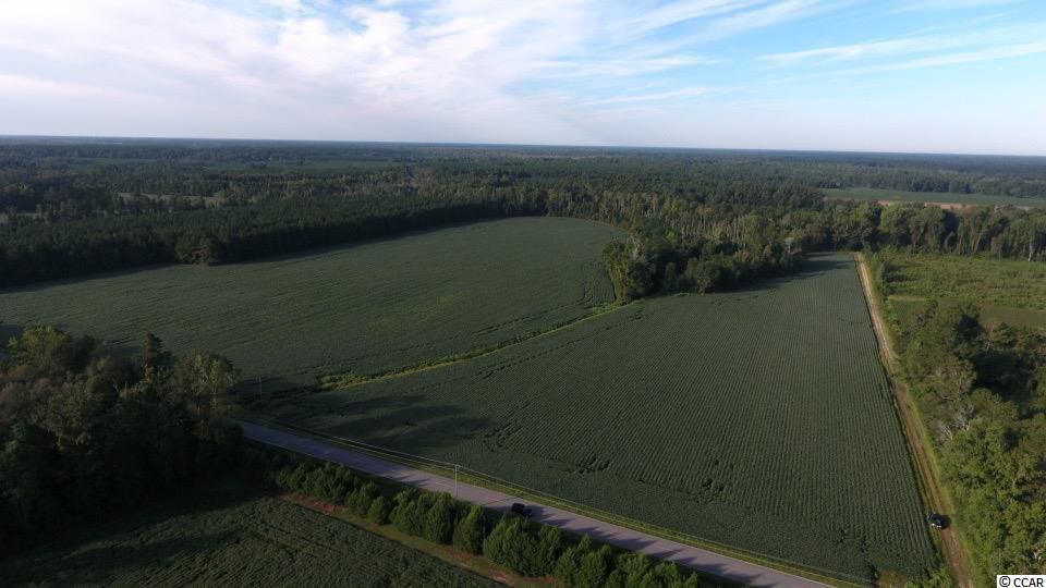 59-ac Old Georgetown Road Nesmith, SC 29580 - Photo 7 of 16