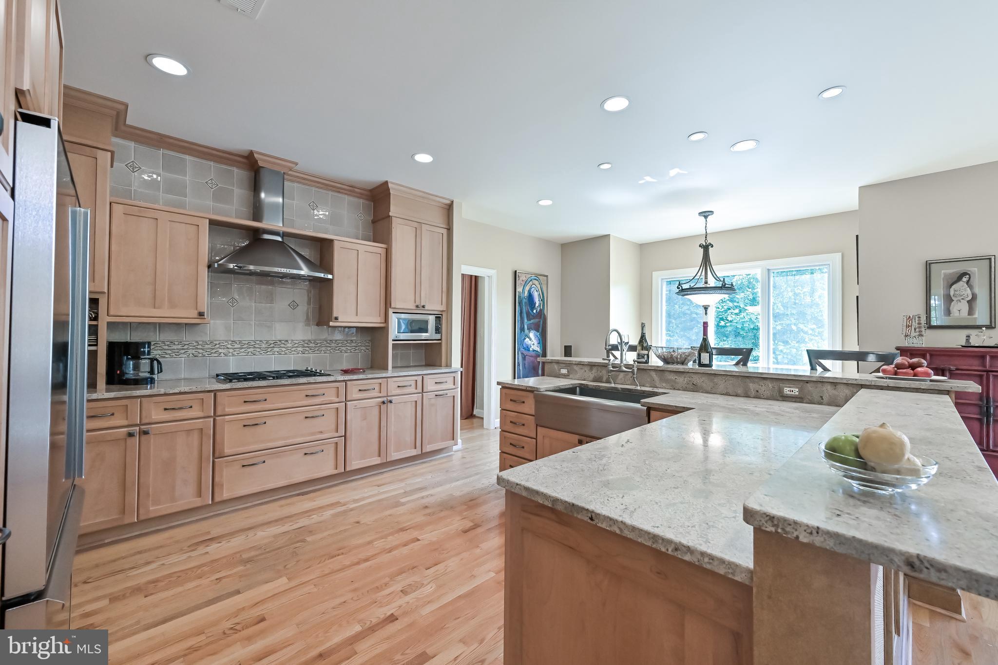 11311 Bright Pond Lane Reston, VA 20194 - Photo 12 of 50 Granite Countertops + Stone Backsplash