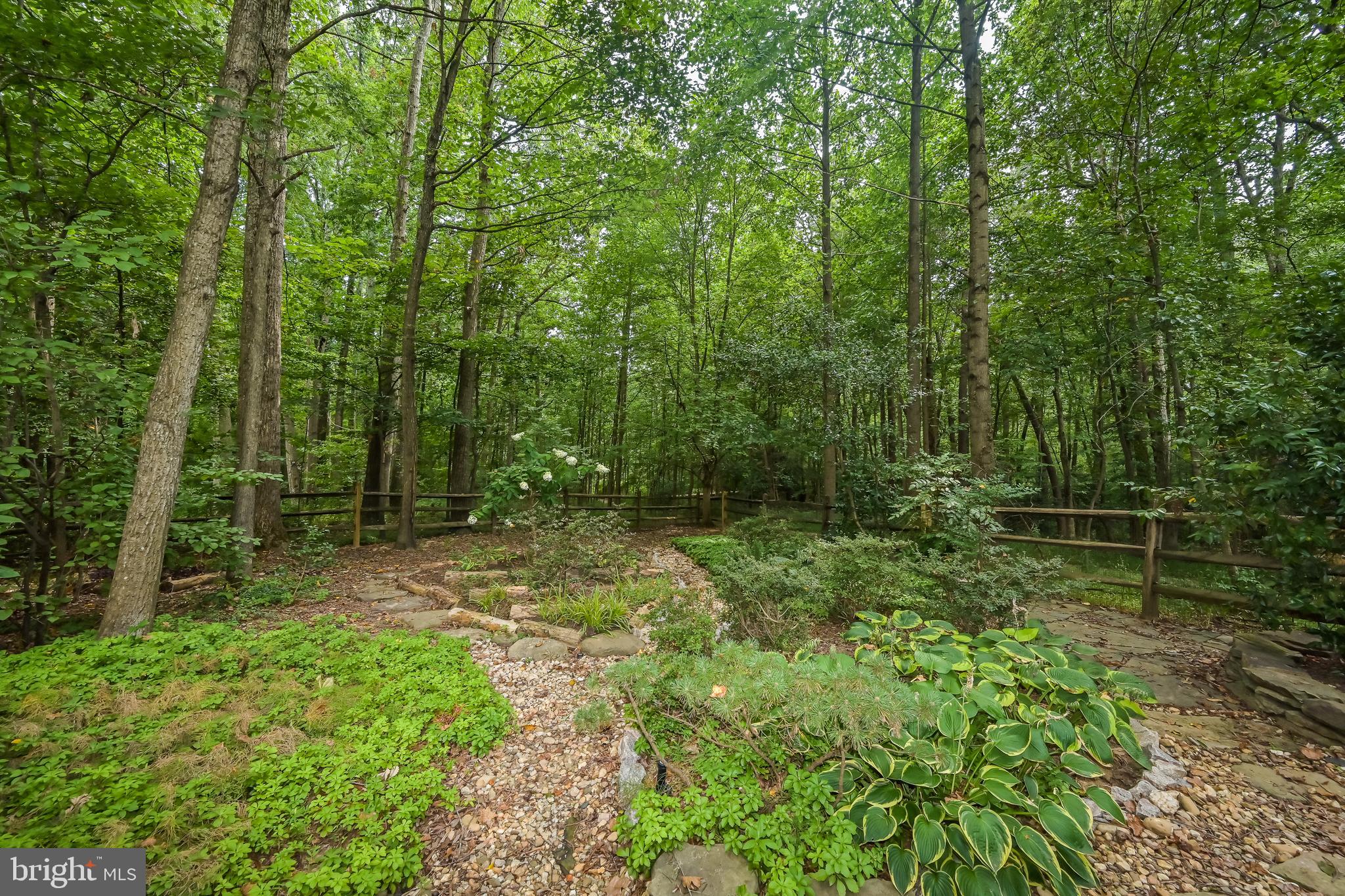 11311 Bright Pond Lane Reston, VA 20194 - Photo 48 of 50 Private Walking Trail Around Rear Yard