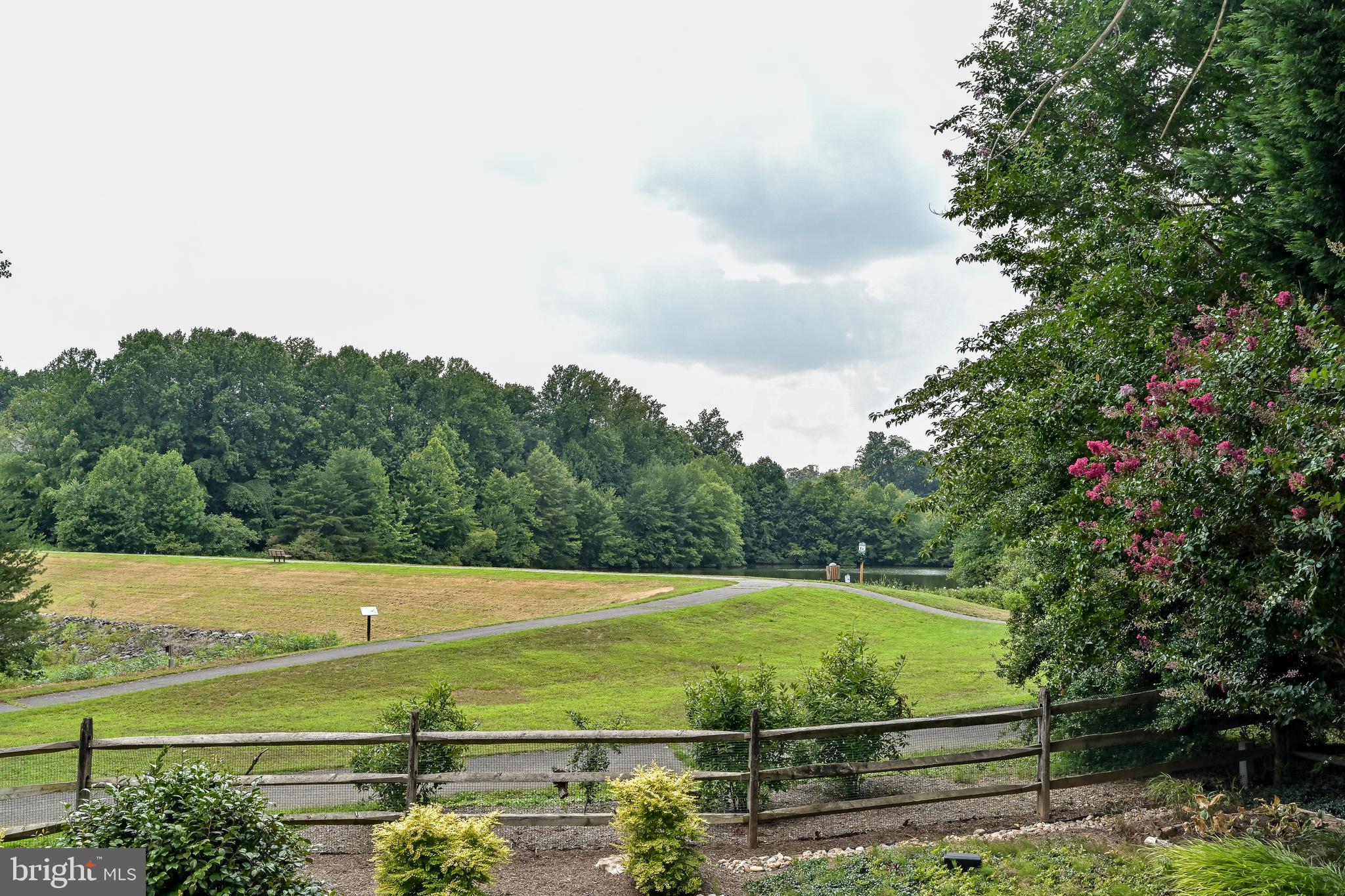 11311 Bright Pond Lane Reston, VA 20194 - Photo 49 of 50 Rear Yard View of Protected HOA Common Area
