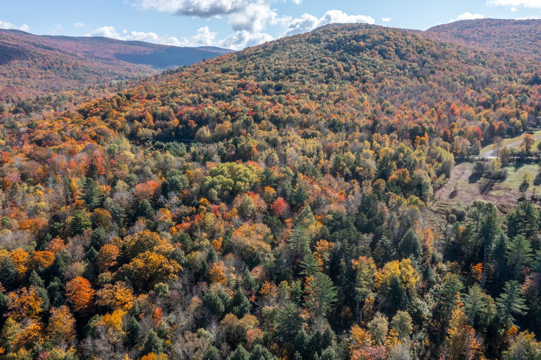 0 Beals Hill Road, Unit LOT #1 Waterville, VT 05492 - Photo 3 of 4