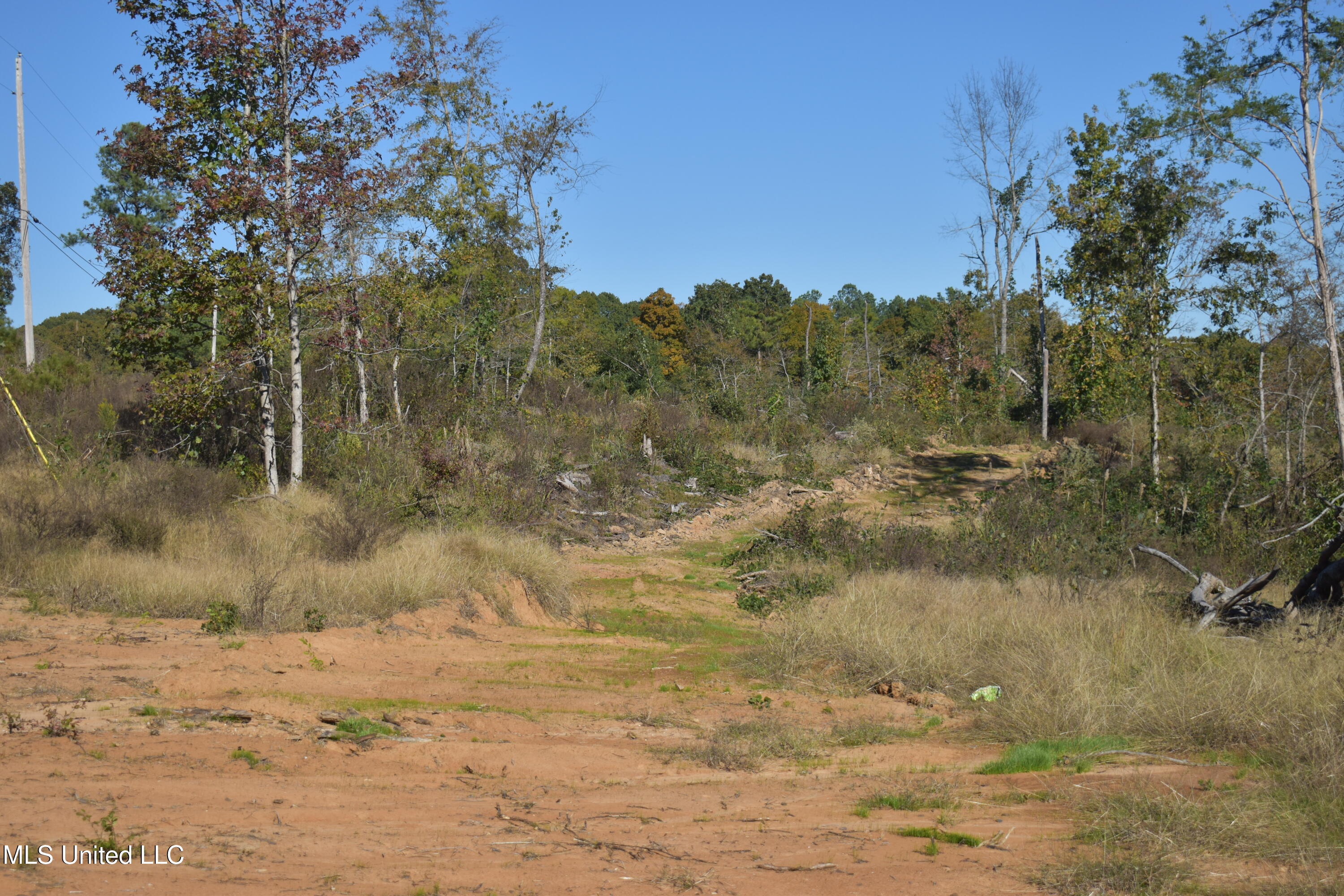 4 Marianna Road Holly Springs, MS 38635 - Photo 10 of 15 DSC_0628